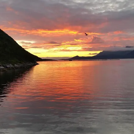 アパートホテル Senja Living Stonglandseidet