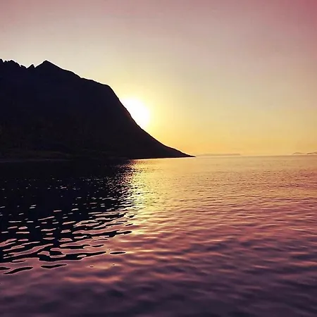アパートホテル Senja Living Stonglandseidet