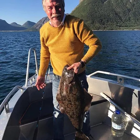 Senja Living Apart Otel