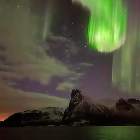 Senja Living * Stonglandseidet