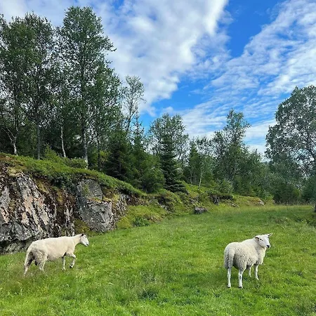 Senja Living 3* Stonglandseidet