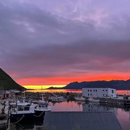 Senja Living
