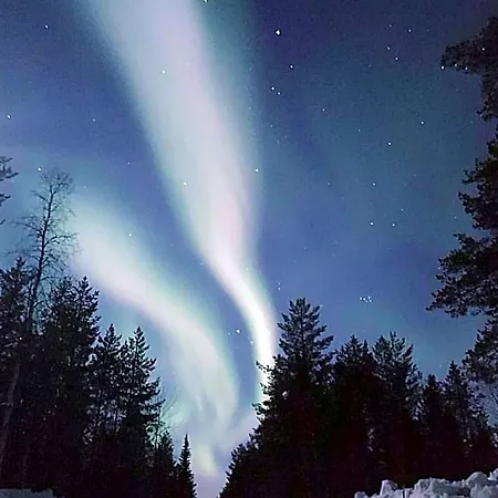 Senja Living 3* Stonglandseidet