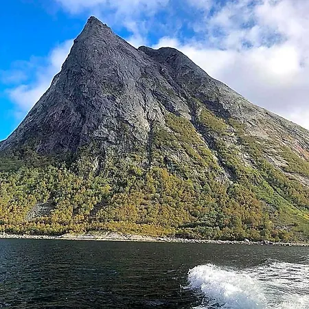 Senja Living
