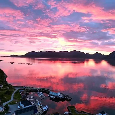 Senja Living 3*