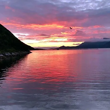 Senja Living 3* Stonglandseidet