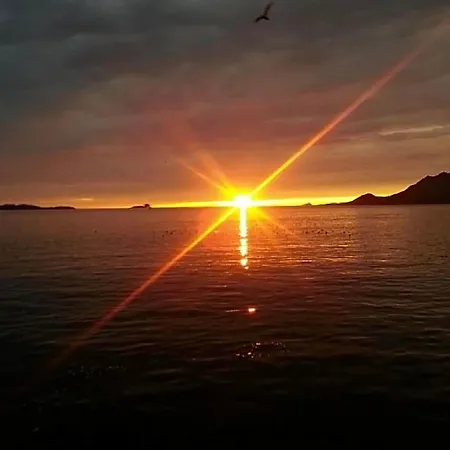 Senja Living