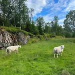 Senja Living 3* Stonglandseidet