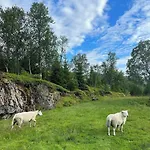 Senja Living 3* Stonglandseidet