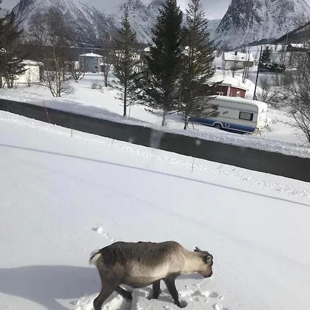 Lejlighedshotel Senja Living 3*