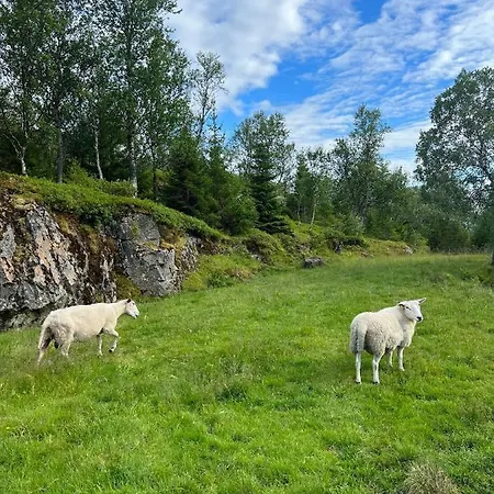 Senja Living * Stonglandseidet