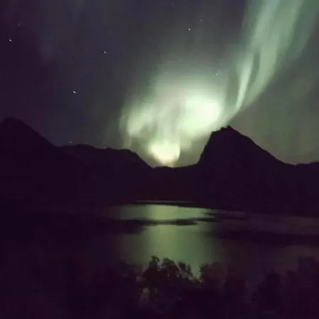 Senja Living Leilighetshoteller