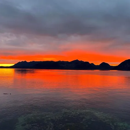 Senja Living