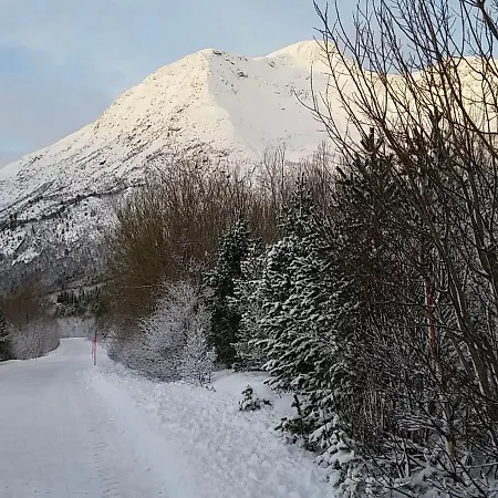 Senja Living Lejlighedshotel Stonglandseidet
