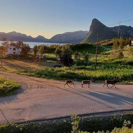 Senja Living Leilighetshoteller Stonglandseidet