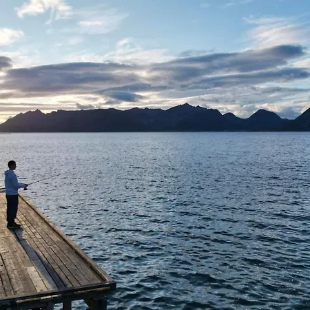 Leilighetshoteller Senja Living Stonglandseidet